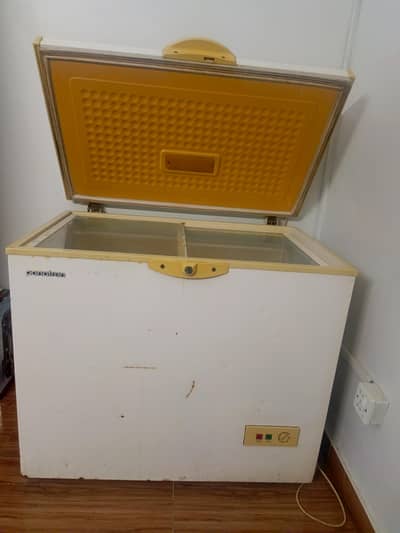 Panatron Deep Freezer – Excellent Cooling | Working Perfectly