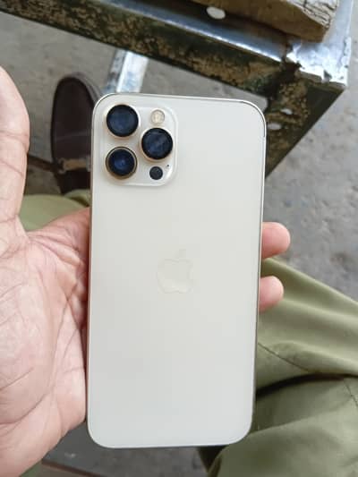 12 pro max