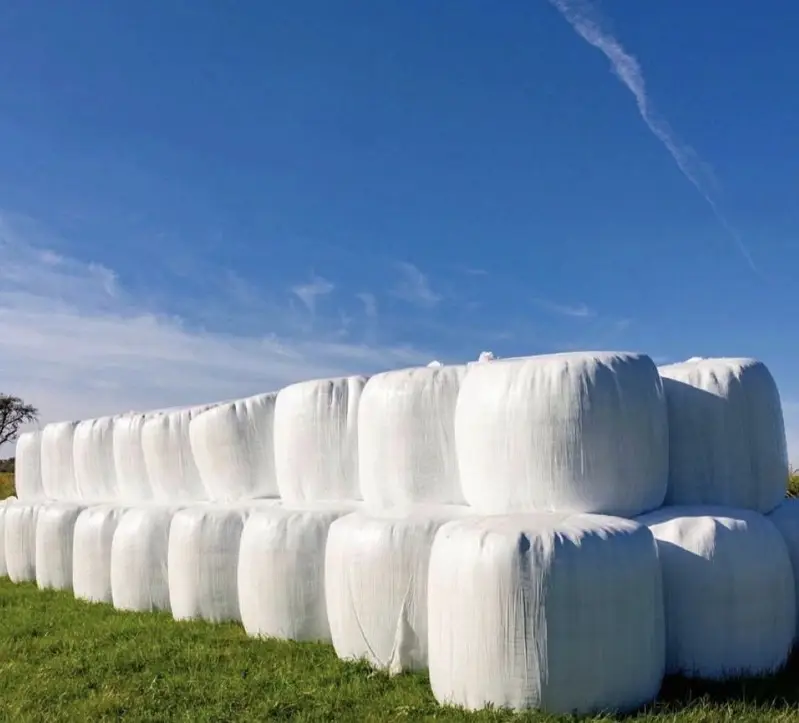 DairyDel Corn Silage (Premium Baharia) — photo 3