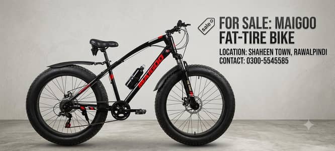 maigoo fat bike