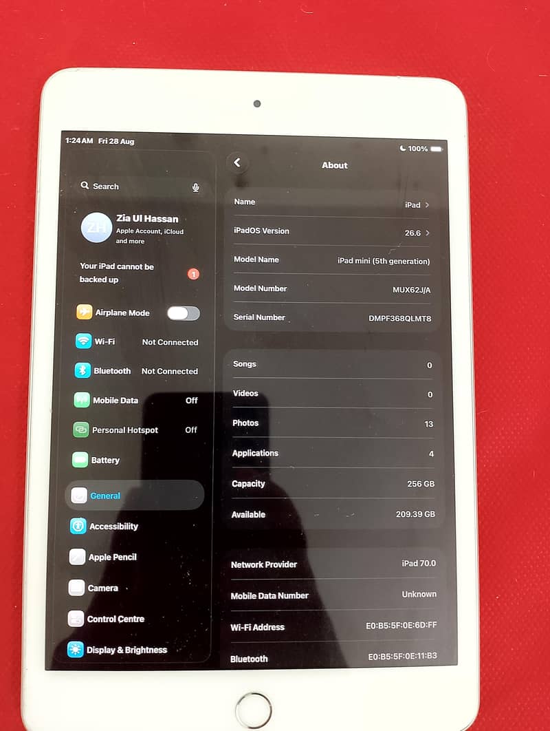 Apple IPAD mini 5 1