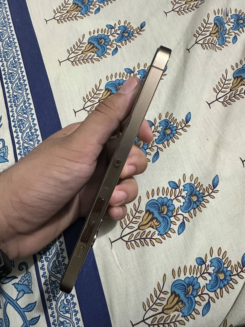Apple iPhone 13 Pro Max 2