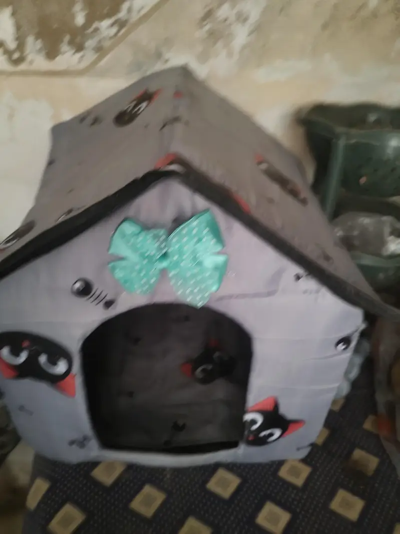 urjent sell — photo 4