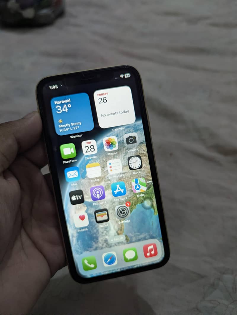 iPhone XR Panel 0