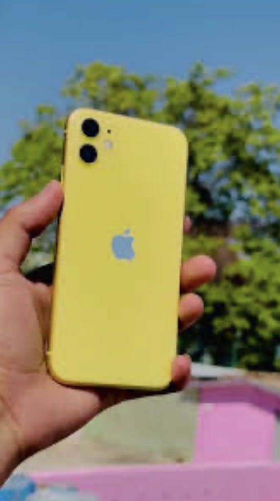 Apple iPhone 11 0