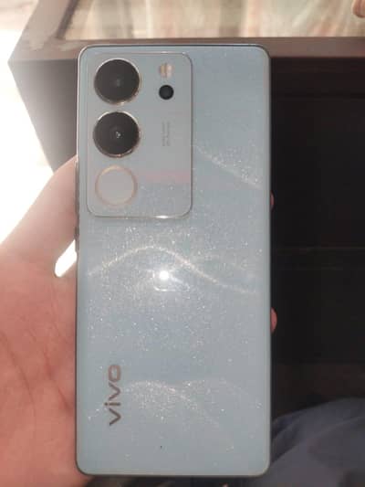 Vivo V29