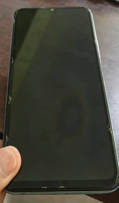 vivo2029