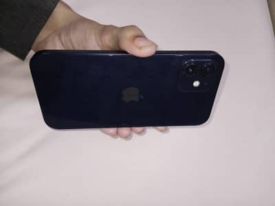 Apple iPhone 12