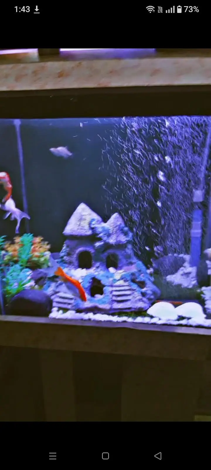 Complete Glass Fish Aquarium Setup with Stand & Accessories — photo 2