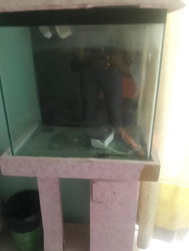 Complete Glass Fish Aquarium Setup with Stand & Accessories — photo 3