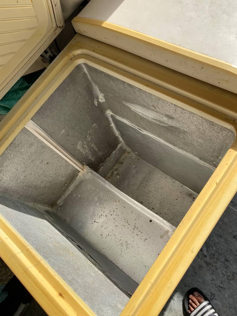 deep freezer 1