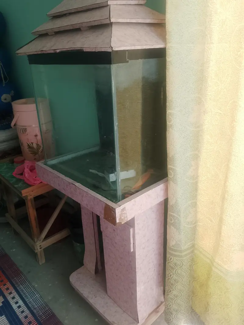 Complete Glass Fish Aquarium Setup with Stand & Accessories — photo 5