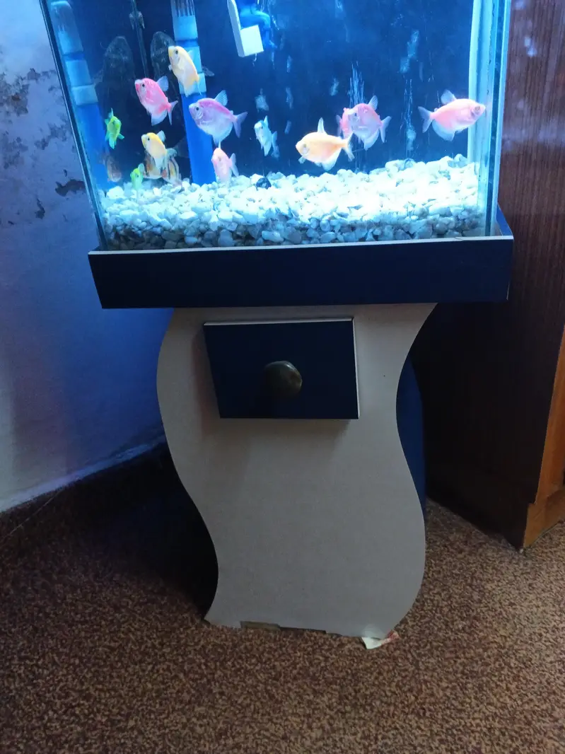 10/9 condition fish aquarium — photo 2