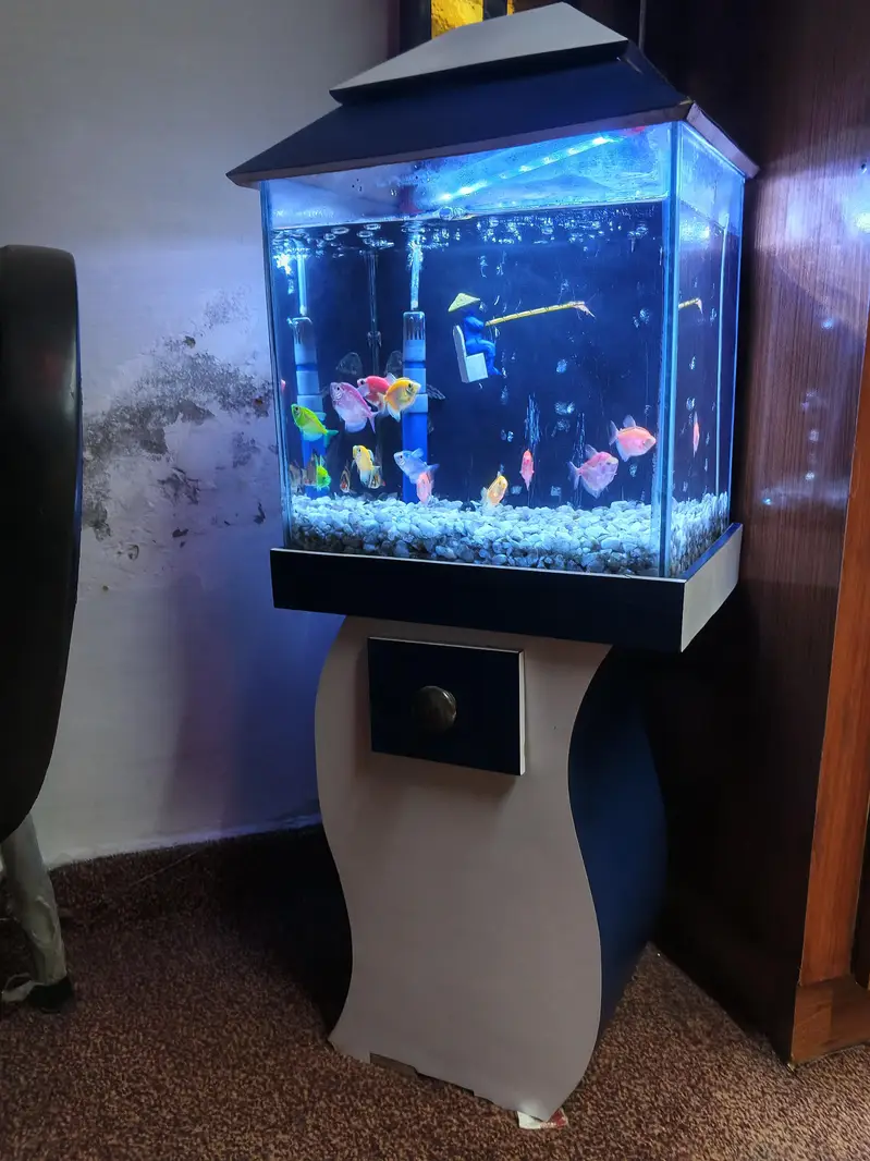 10/9 condition fish aquarium — photo 4