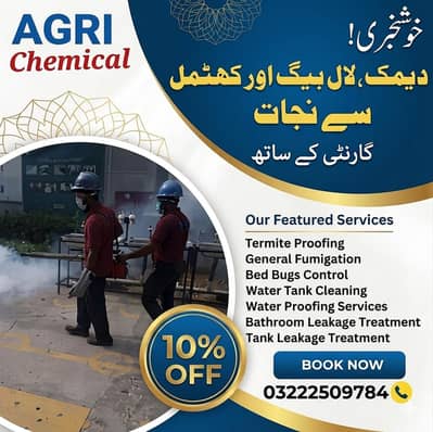 Pest control Termite Expert | Fumigation Services | Termite expert