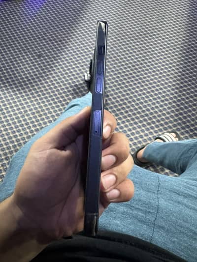 Apple iPhone 16 Pro Max 256 Gb