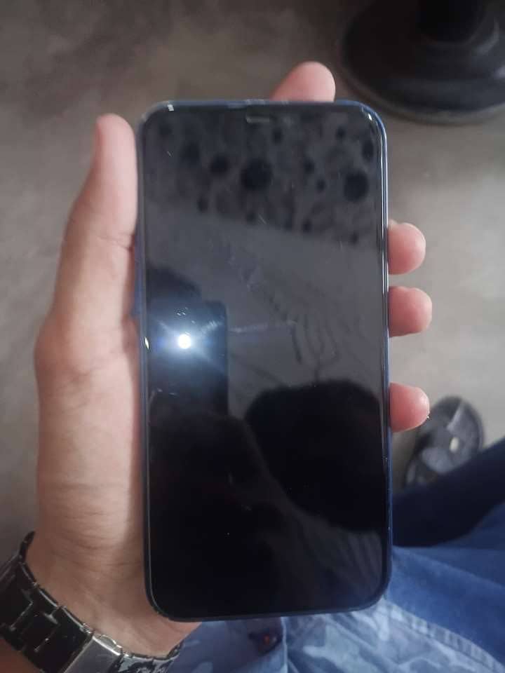 Apple iPhone 12 1