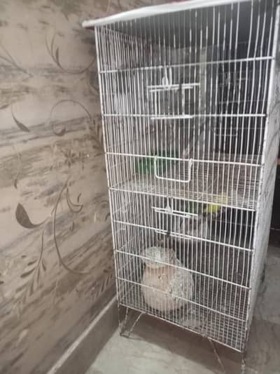 with cage