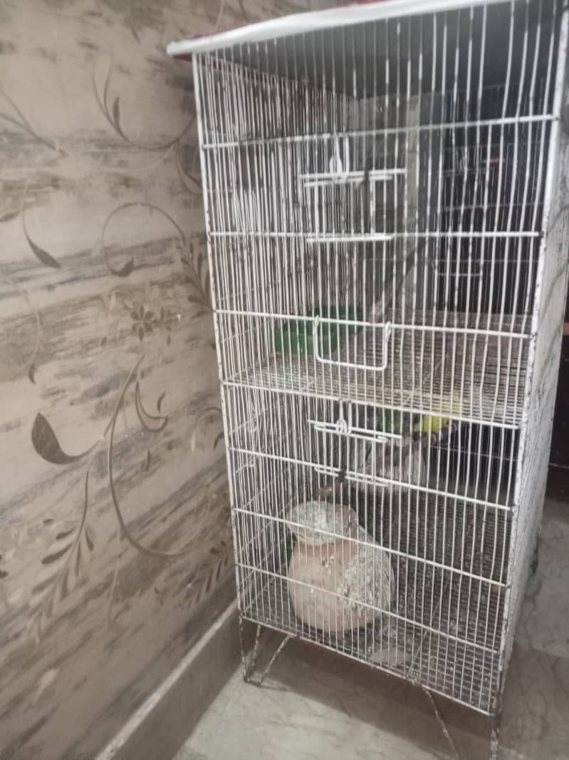 with cage 0