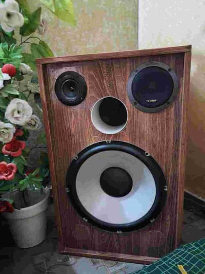 15 inch sony shake buffer speaker