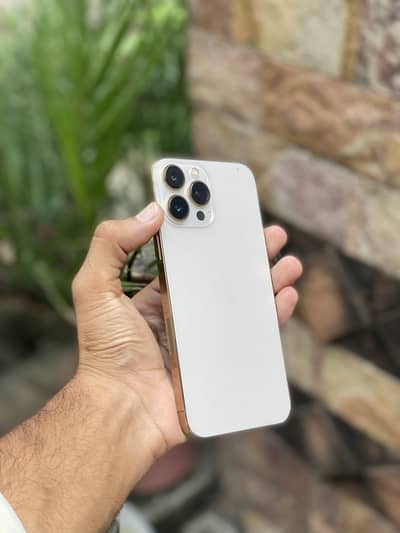 Apple iPhone 13 Pro Max Waterpack