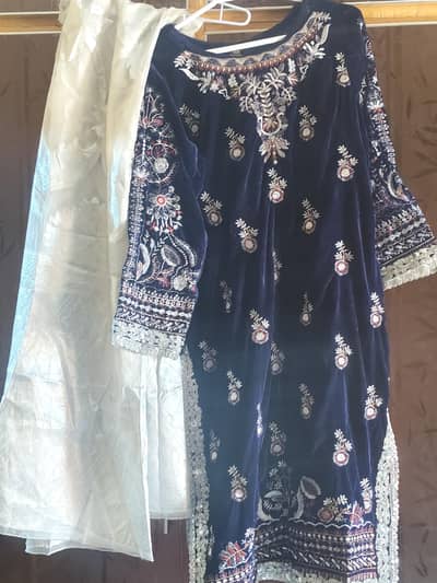 velvet elegant embroidery fancy dress