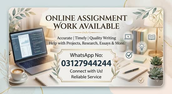Online assignment work