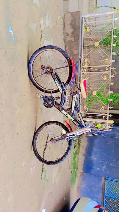 Dolphin river bicycle for sale best condition silver and black colour