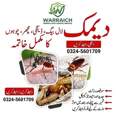 Termite & Pest control, Deemak Control, Fumigation Spray, Dengue Spary