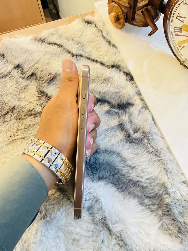 Apple iPhone 16 Pro Max 3