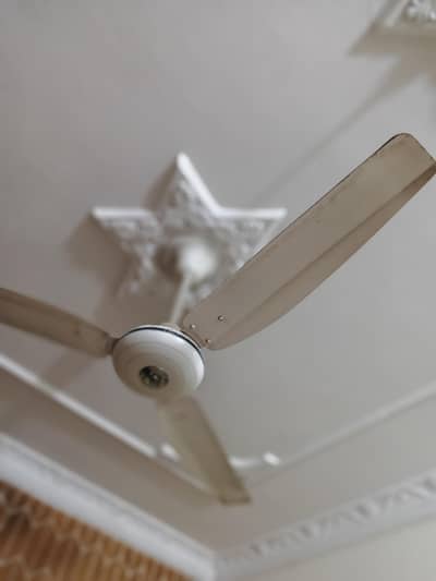 3 Ceiling fans for sale