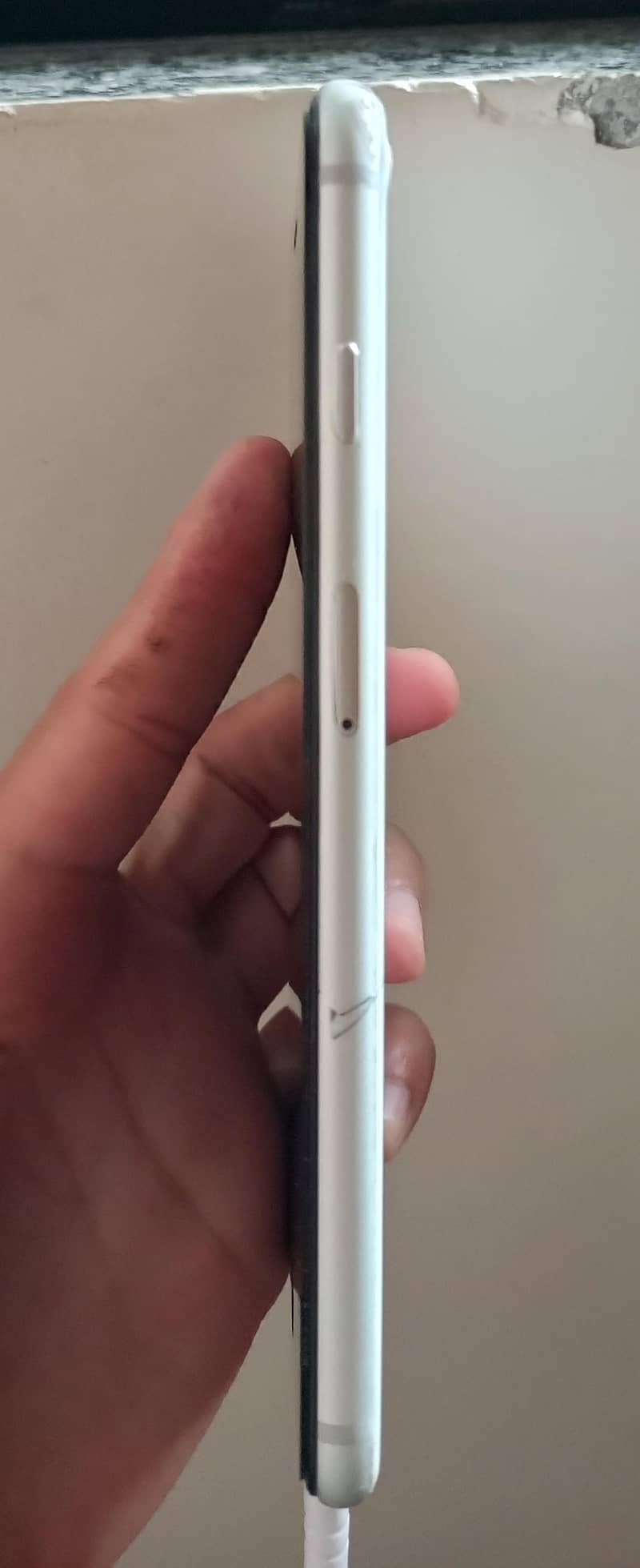 Apple iPhone 8 Plus 4
