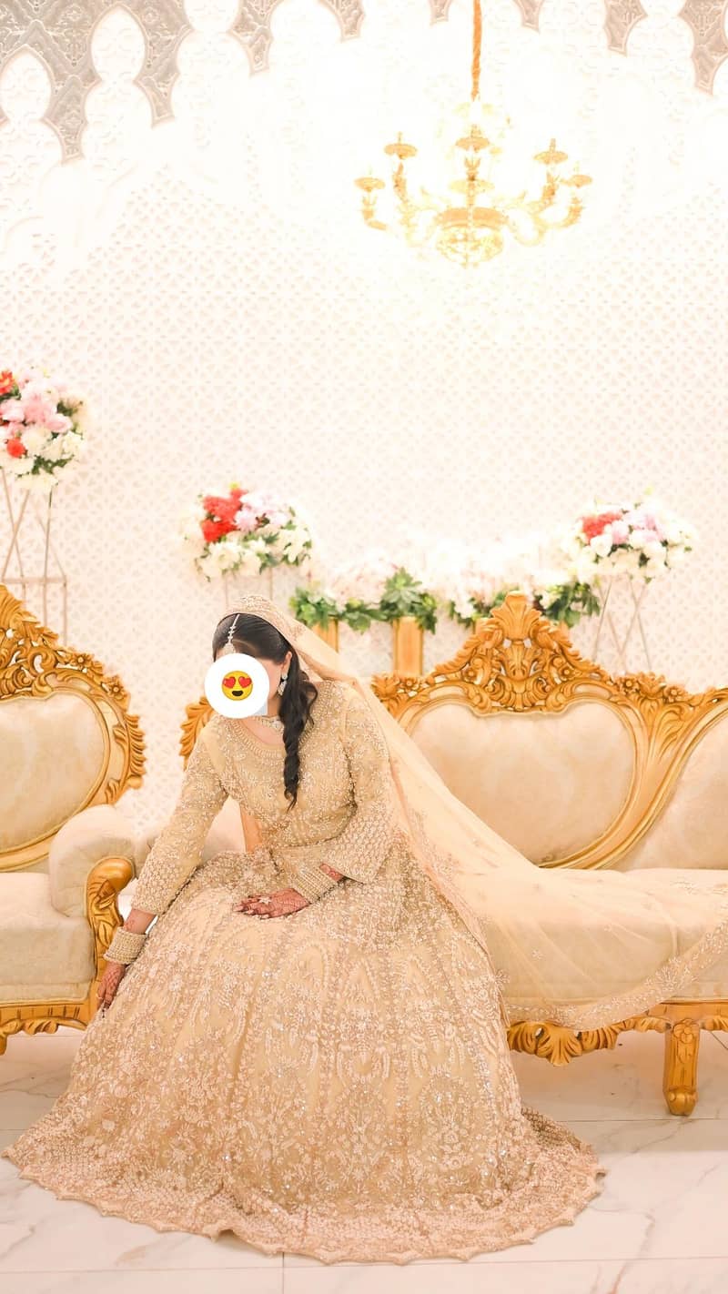 walima maxi 1