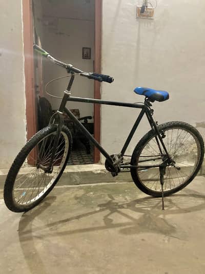 amazing cycle