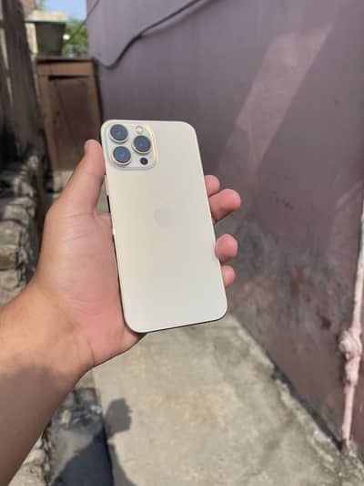 Apple iPhone 13 Pro Max