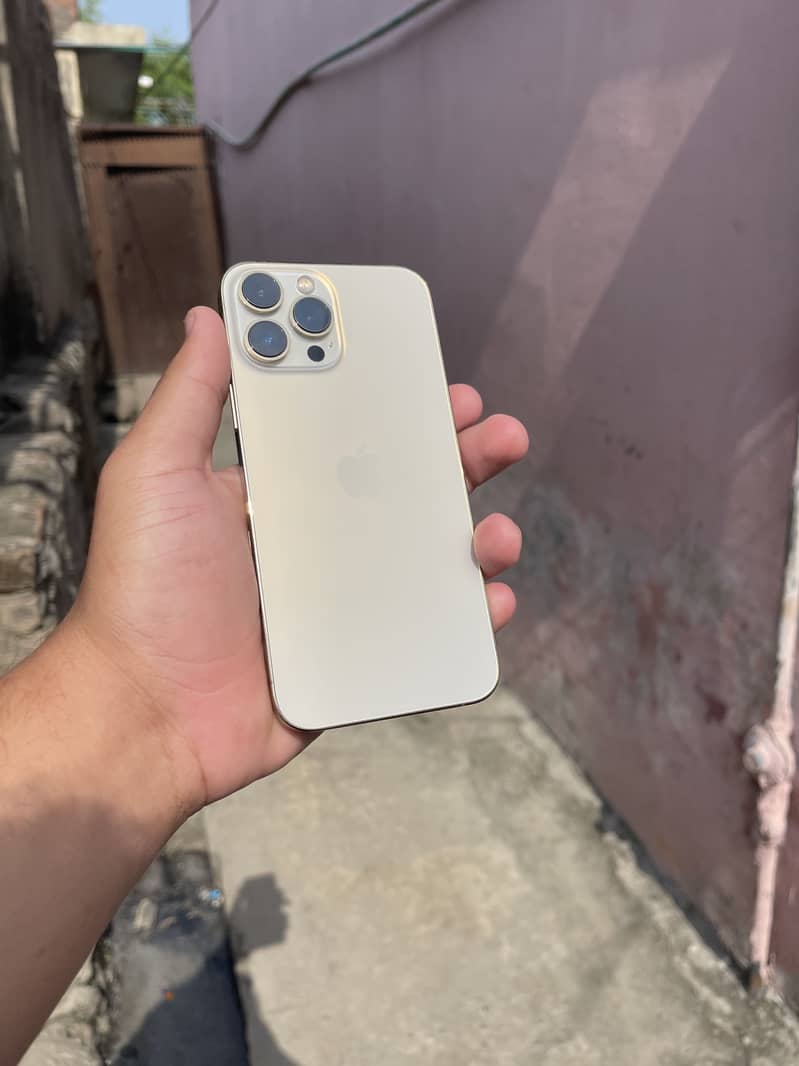 Apple iPhone 13 Pro Max 0