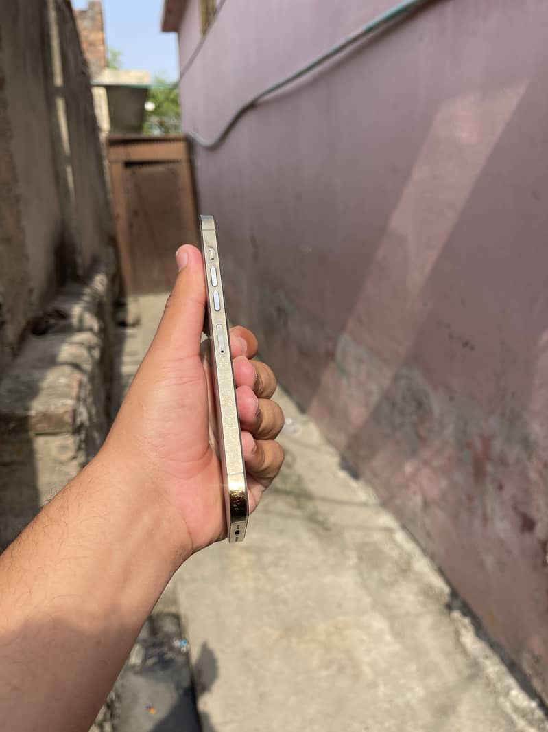 Apple iPhone 13 Pro Max 1