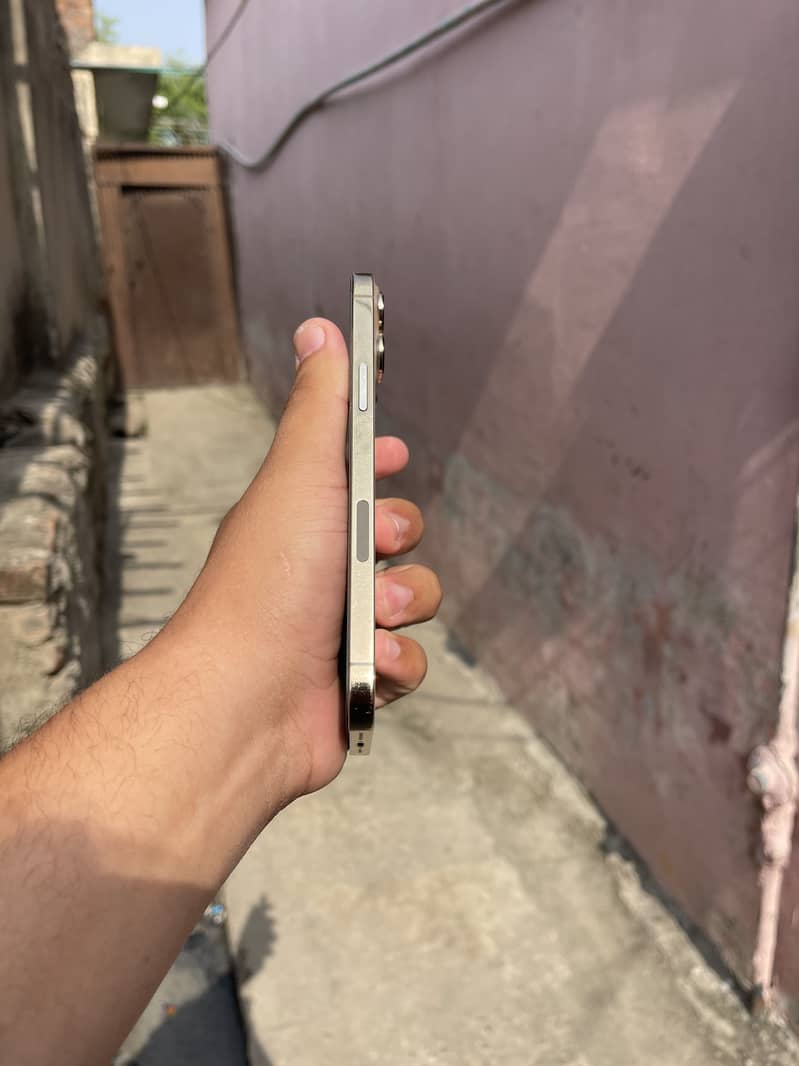 Apple iPhone 13 Pro Max 2