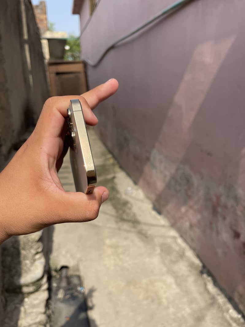 Apple iPhone 13 Pro Max 3