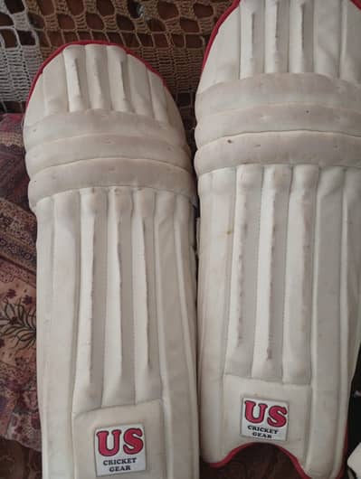 cricket kit available for sy you toale