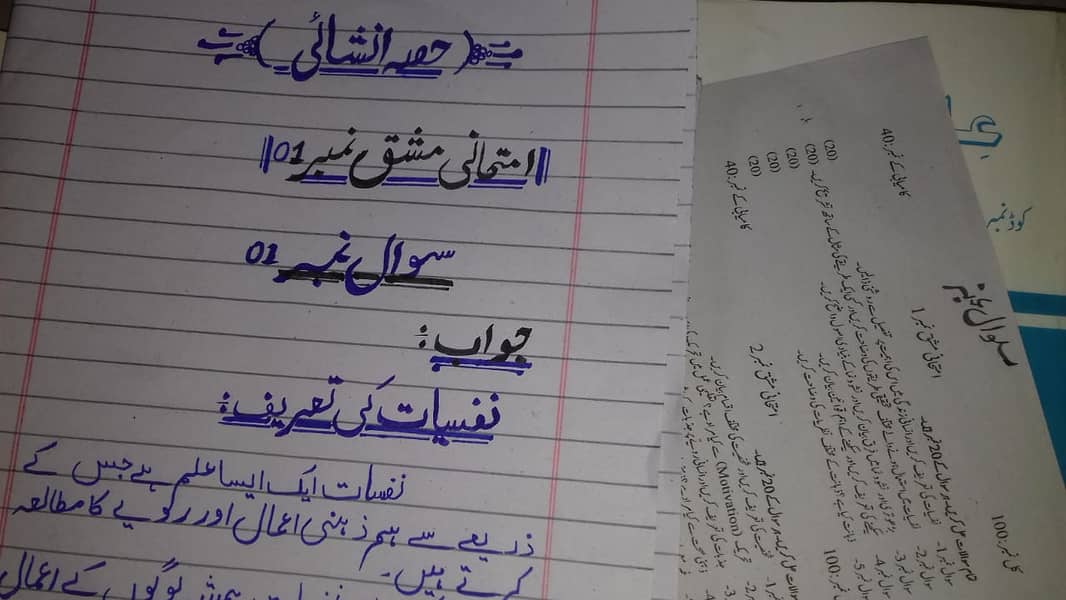 Assignment 1