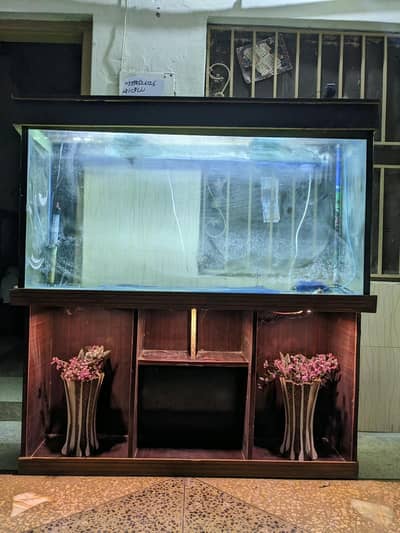 Fish aquarium