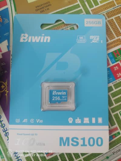 BIWin MS100 256 GB  Microsdxc