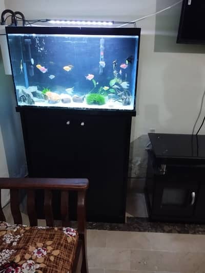 Aquarium Complete Setup