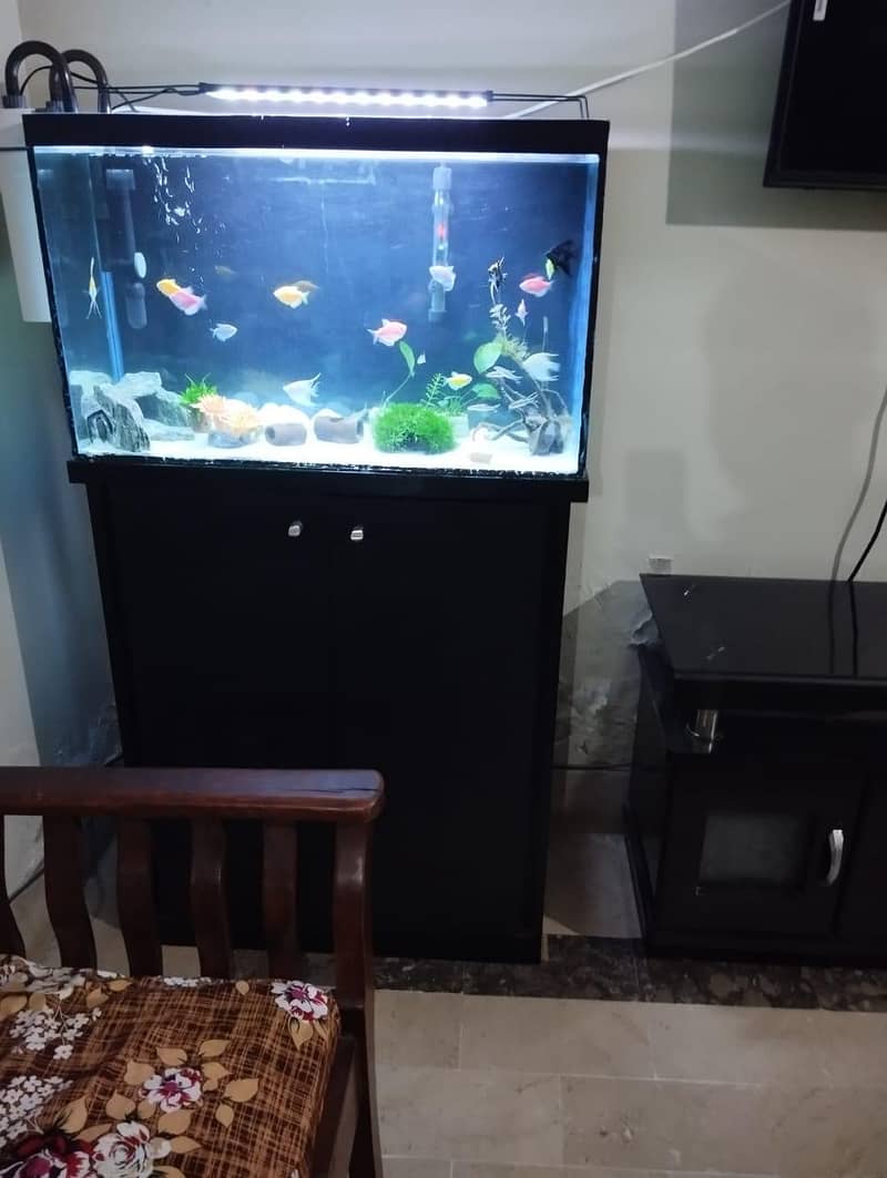 Aquarium Complete Setup 0