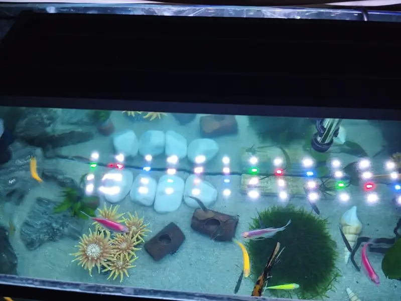 Aquarium Complete Setup — photo 4