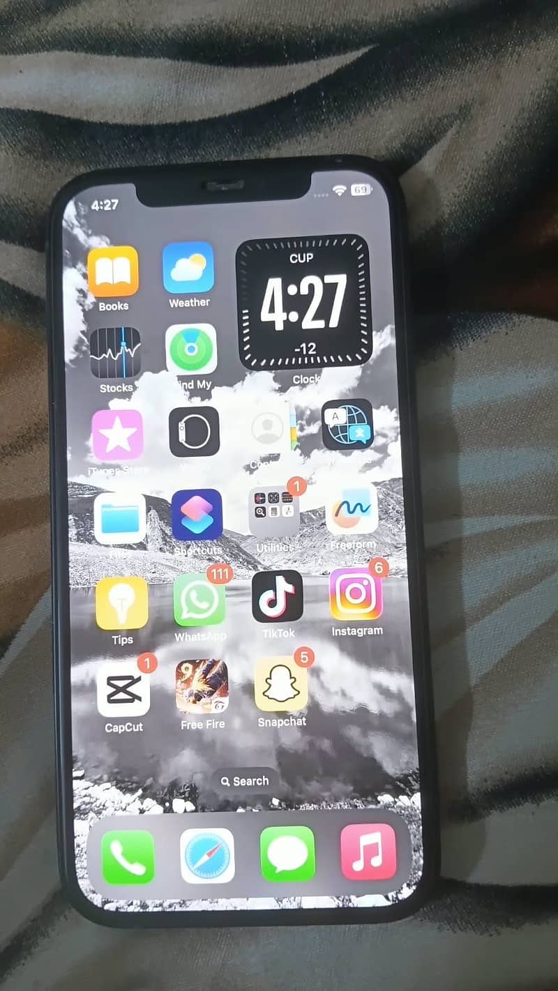 Apple iPhone 12 1