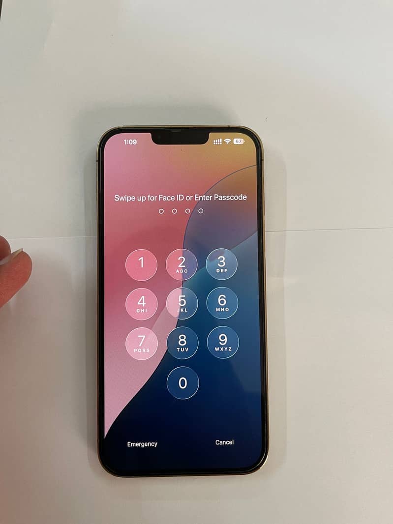 Apple iPhone 13 Pro Max 1