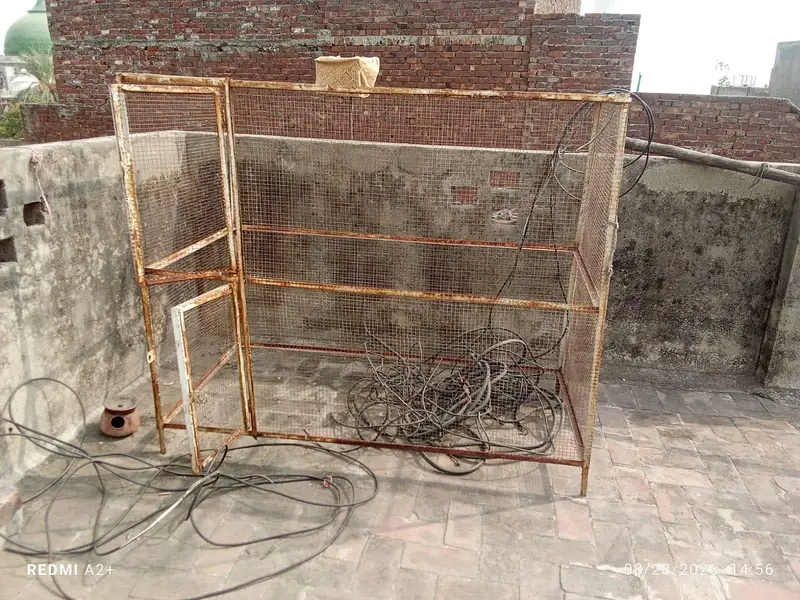 Pinjra Full guage — photo 5