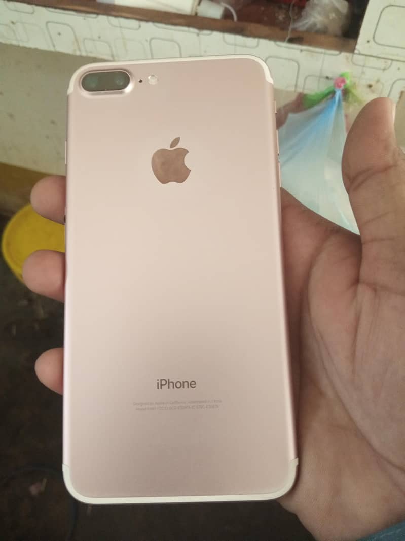 apple 1